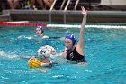 WWPolo vs CC  Wheaton College Women’s Water Polo vs Connecticut College. - Photo By: KEITH NORDSTROM : Wheaton, water polo